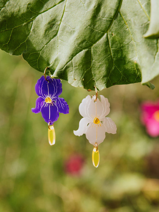 Iris oorbel - paars